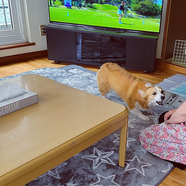 akimameさんの実例写真