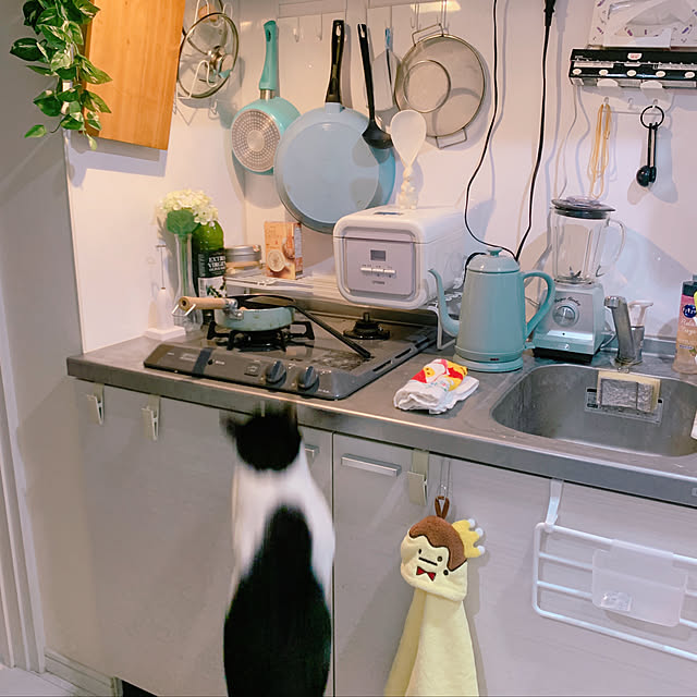 chisouさんの実例写真