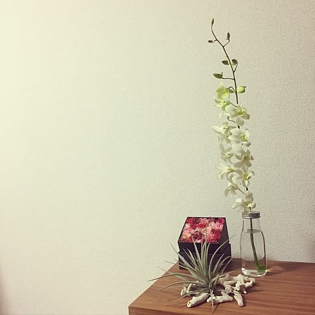 Junさんの実例写真