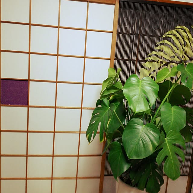 peppermintさんの実例写真