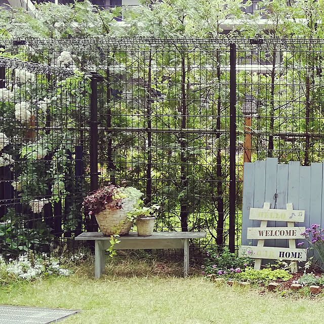 chippyさんの実例写真