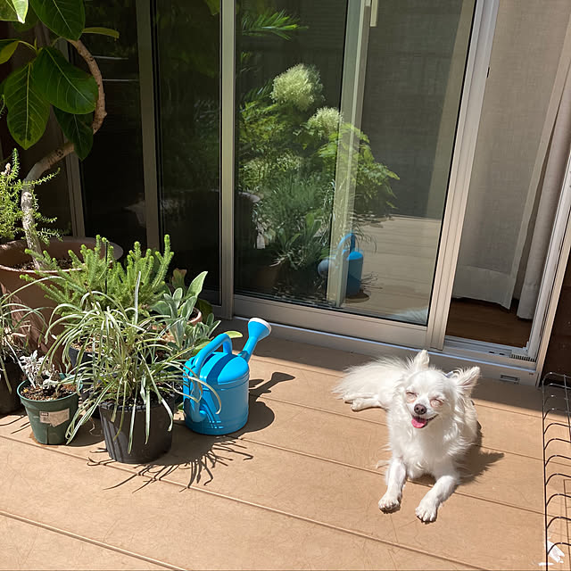 nkamtさんの実例写真