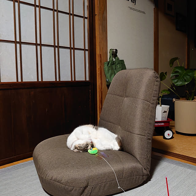 fukuさんの実例写真