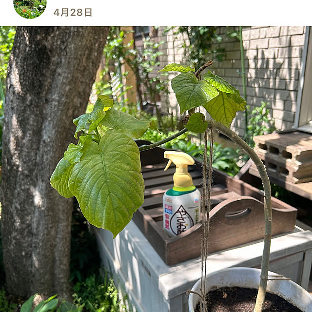 botanさんの部屋