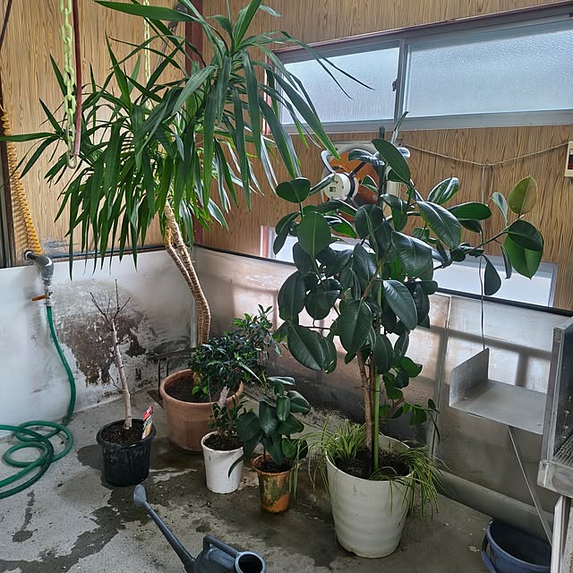 Rubiconさんの実例写真