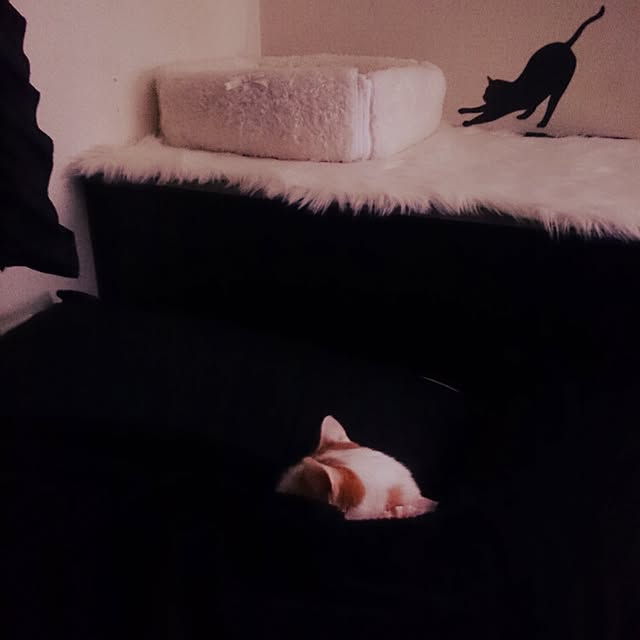 luxgさんの実例写真