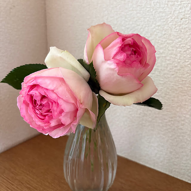 nannoさんの部屋