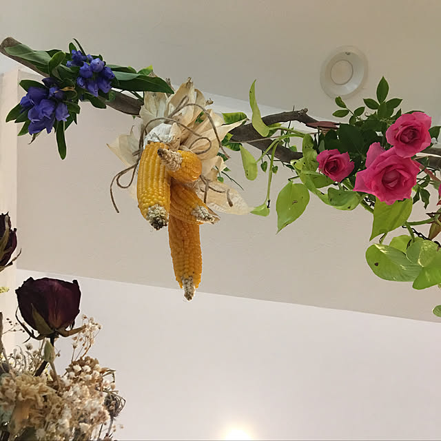 Sakura_hanaさんの実例写真