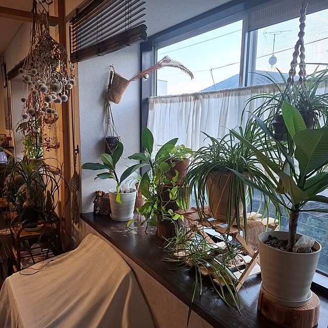 midoriさんの実例写真