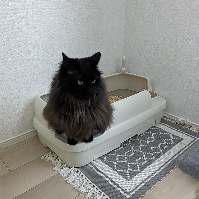 kumiさんの実例写真