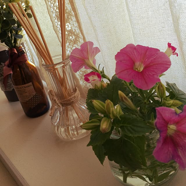 Minoriさんの実例写真