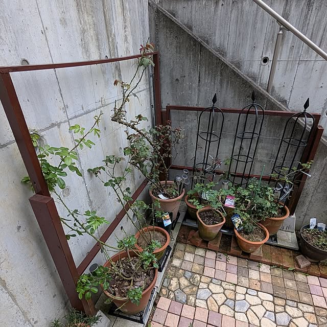 kazuさんの実例写真