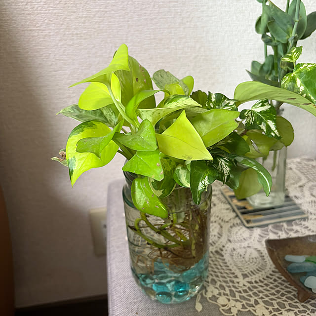 ritsukoさんの部屋