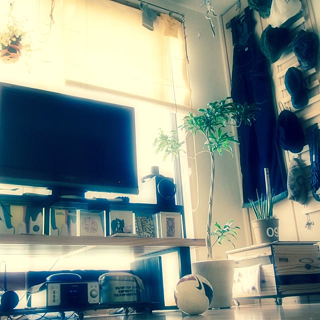 PiTHさんの実例写真