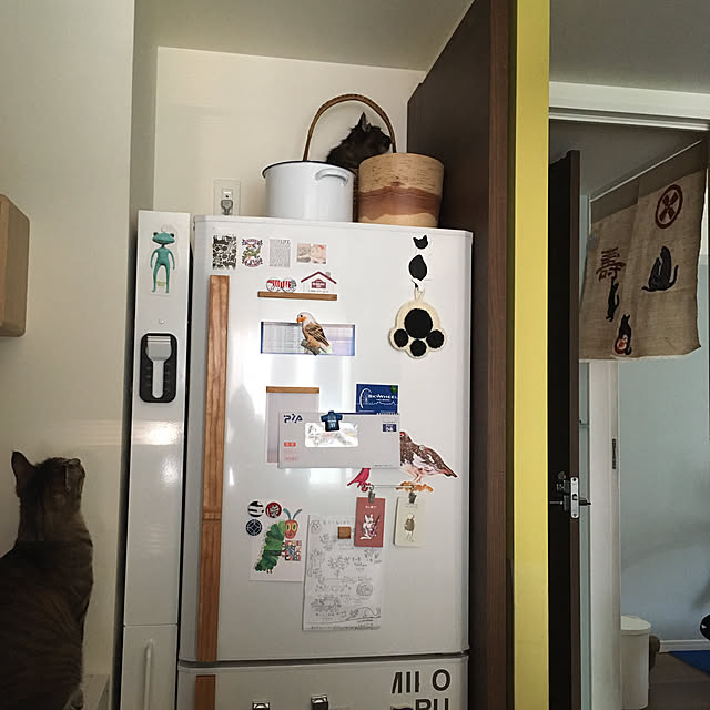 mikomaruさんの実例写真