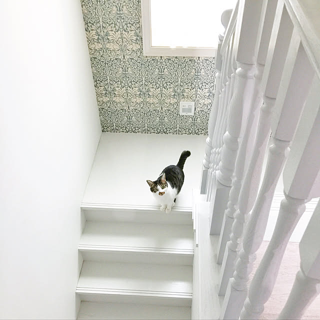 yuchiさんの実例写真