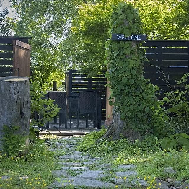Aether_Gardenさんの実例写真