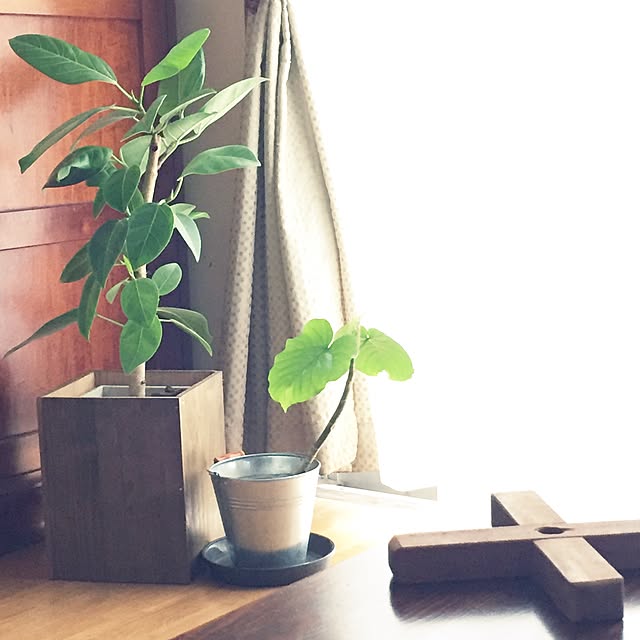 calmsweetsweetさんの実例写真