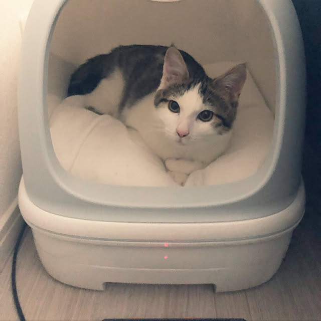 w_fox0713さんの実例写真