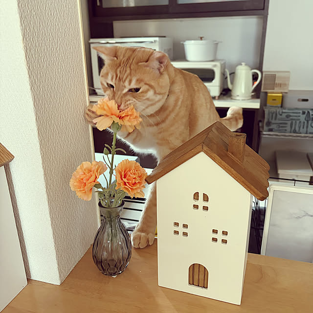 chiiさんの部屋