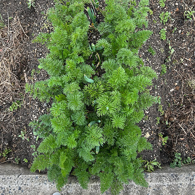 ritsukoさんの部屋