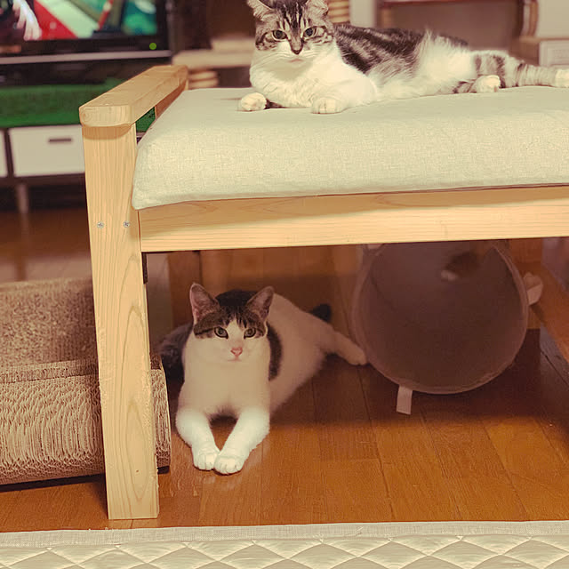 koharuさんの実例写真