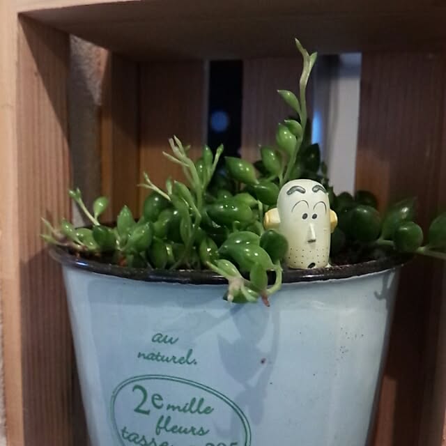 Mi-さんの実例写真