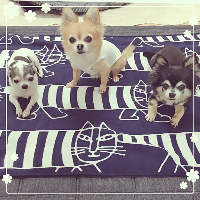Emiさんの実例写真