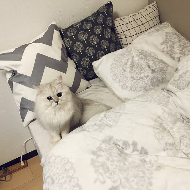 Natsuさんの実例写真