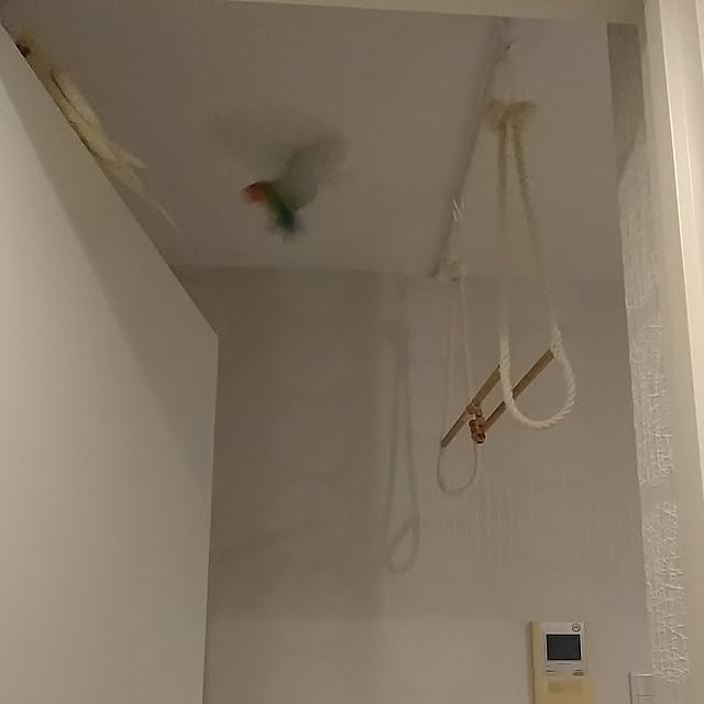 toratanさんの部屋