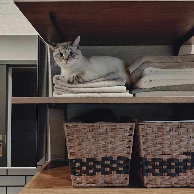 Atelier_tamakiさんの部屋