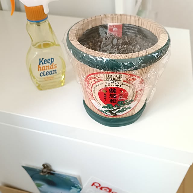 wanidaさんの部屋