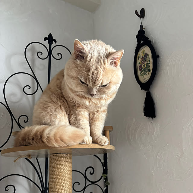 naokoさんの部屋