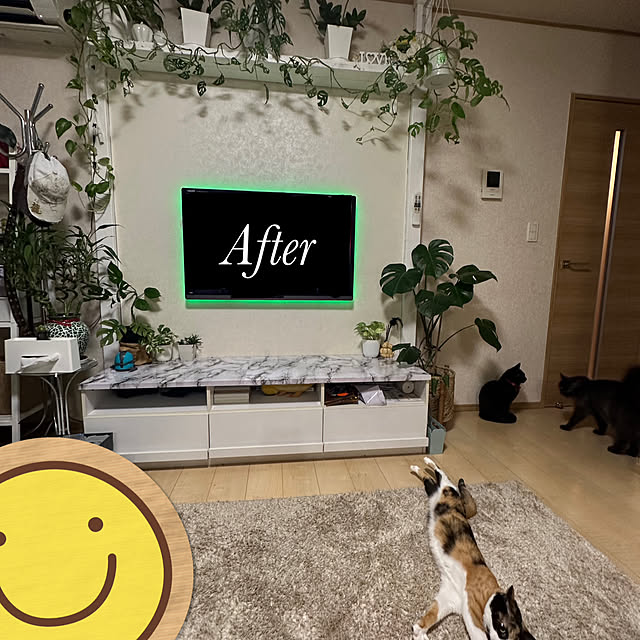 miruさんの部屋