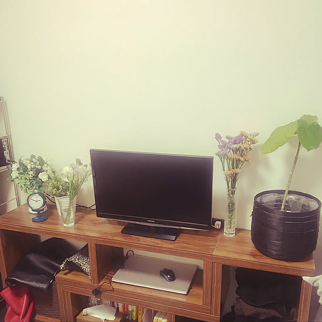 一人暮らし/観葉植物/フェイクグリーン/リビングのインテリア実例 - 2019-05-04 14:52:10