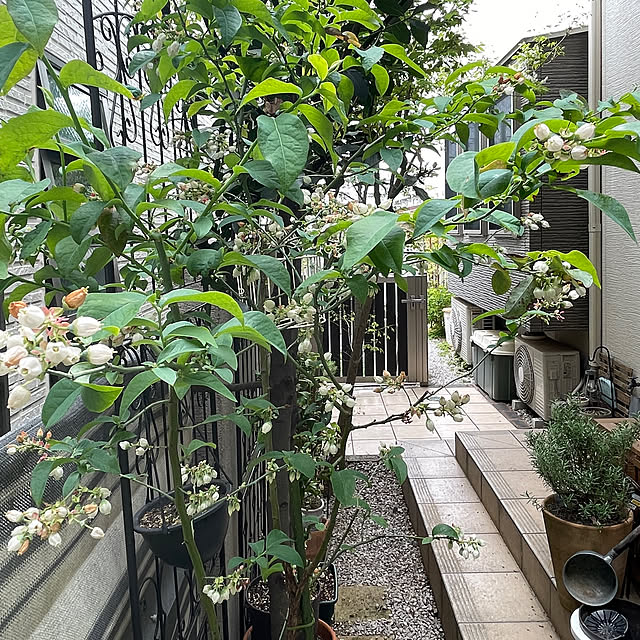 nikoさんの実例写真