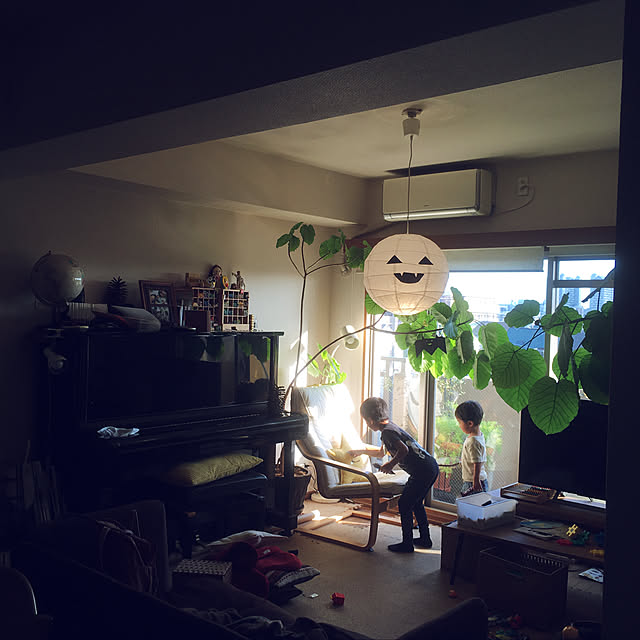 cottoncottonさんの実例写真