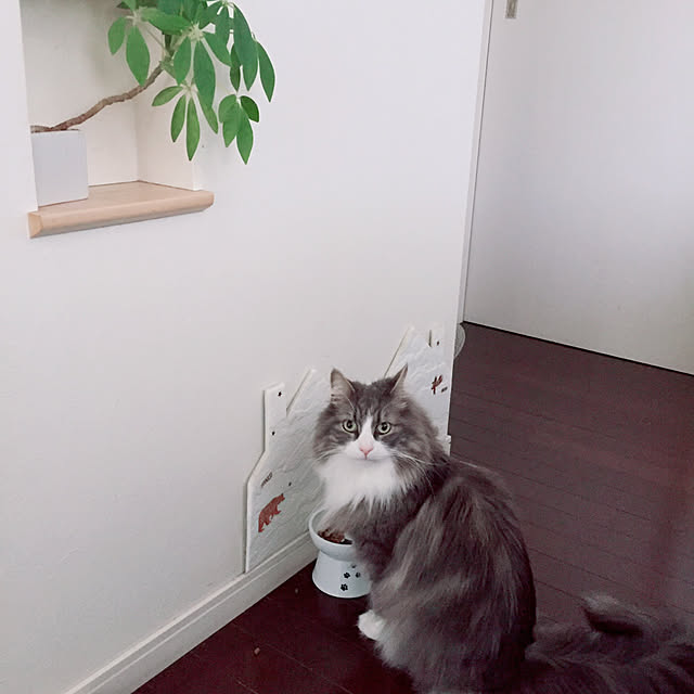emさんの実例写真