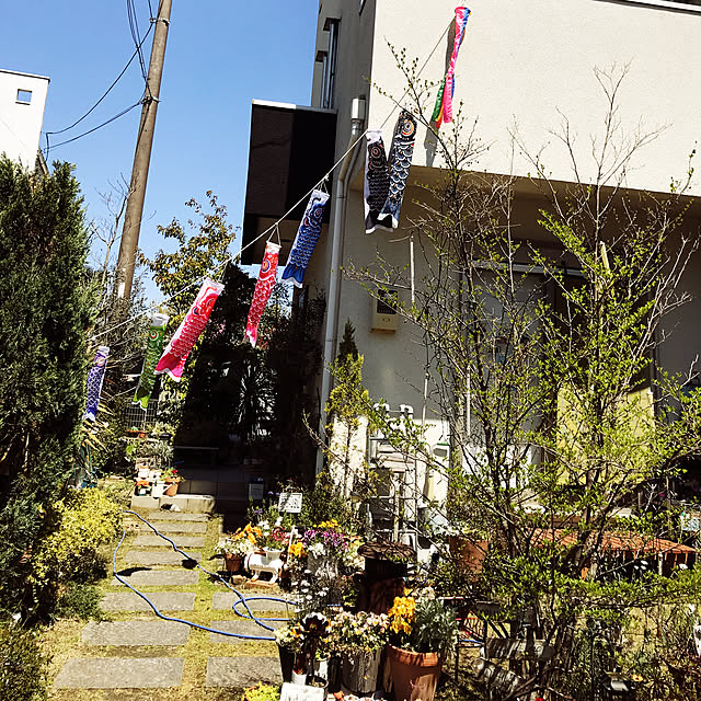 michi-michi39さんの実例写真