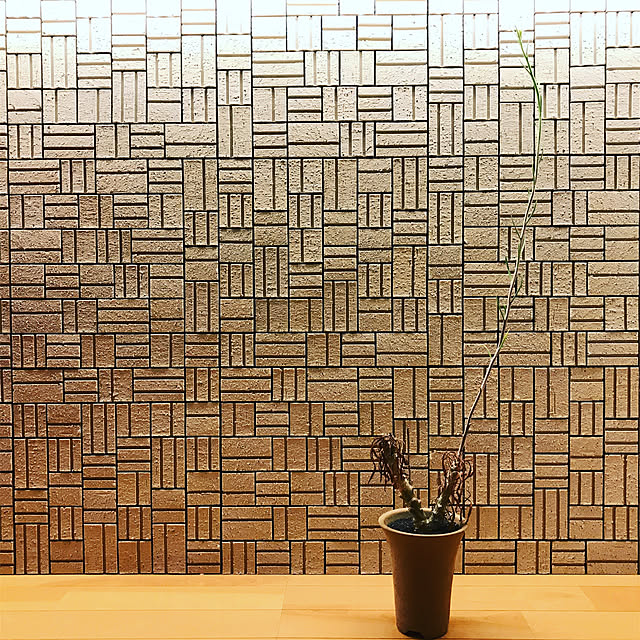toge_cafeさんの実例写真