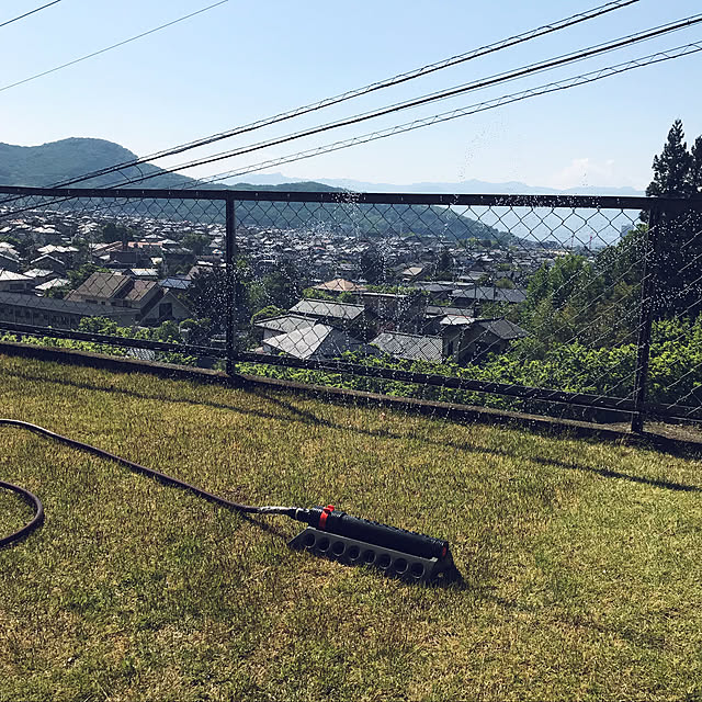 momokumiさんの実例写真