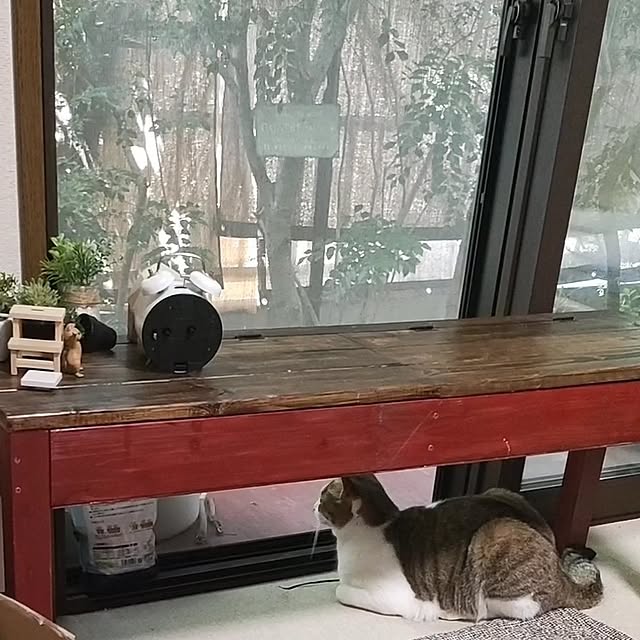 mori_6_12さんの部屋