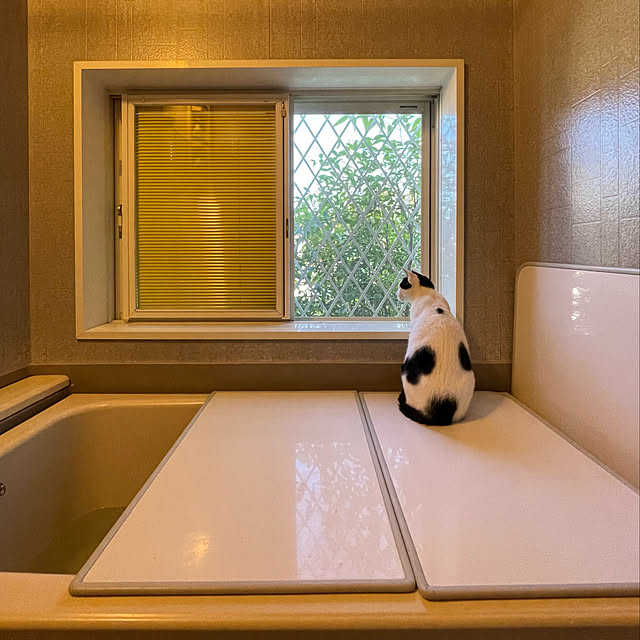 nobikoさんの実例写真