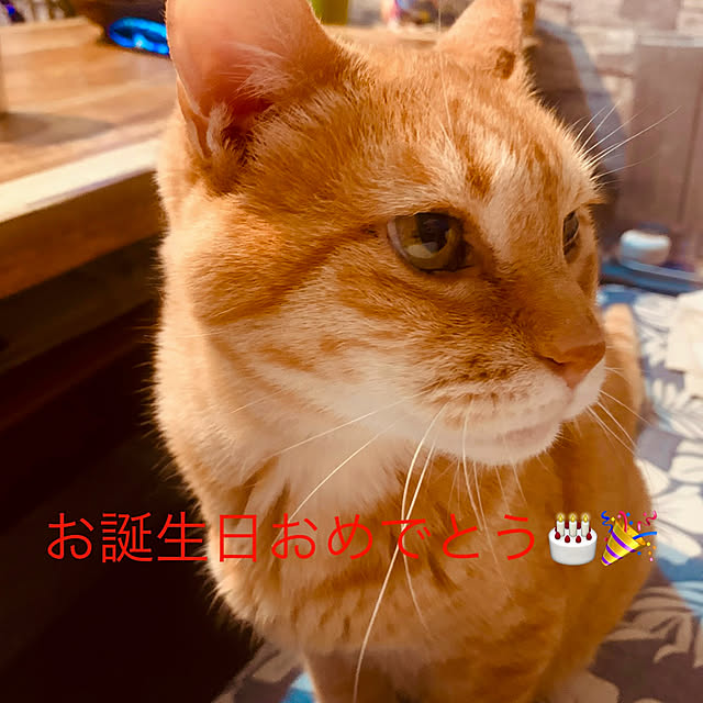 tututu0204さんの部屋