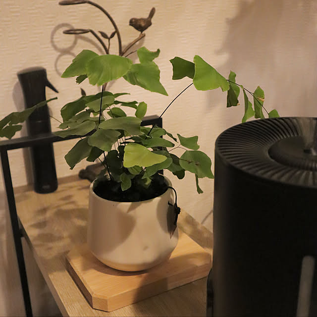 ayasanさんの部屋
