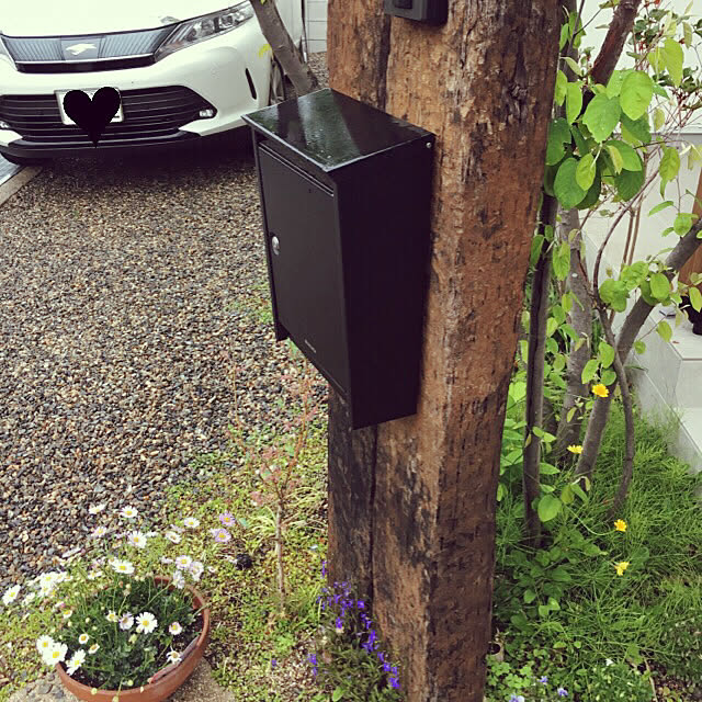 violetさんの実例写真