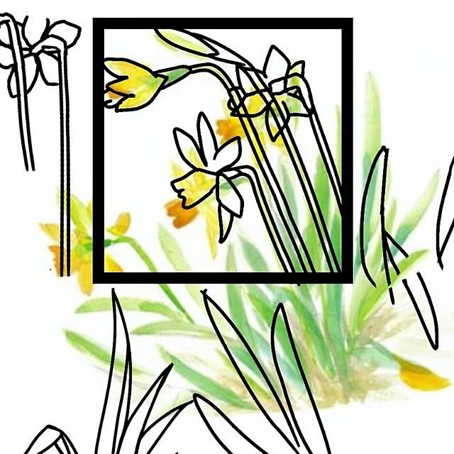 mi-saさんの部屋