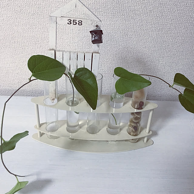 anaさんの実例写真