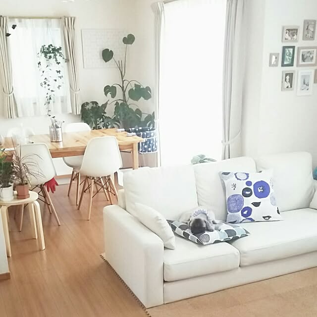 miruban1010さんの実例写真