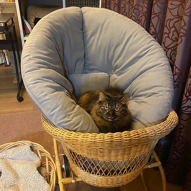 mikomaruさんの実例写真